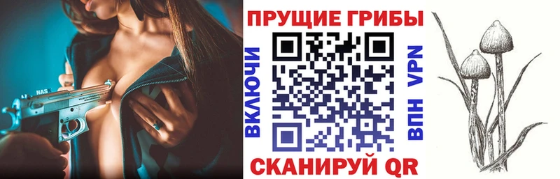 Псилоцибиновые грибы мухоморы  даркнет сайт  Сертолово 